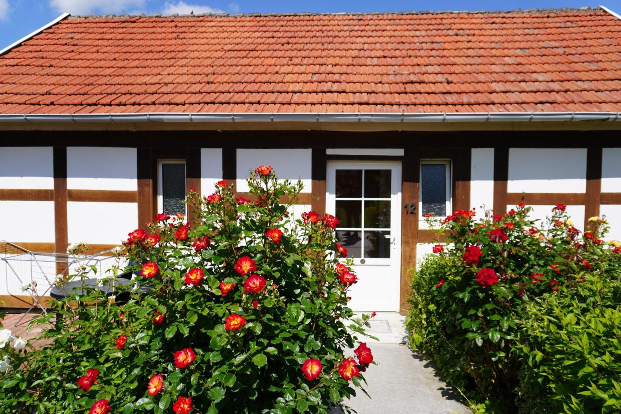 Alcor Hotel Feriendorf An Der Ostsee Wohlenberg Zewnętrze zdjęcie