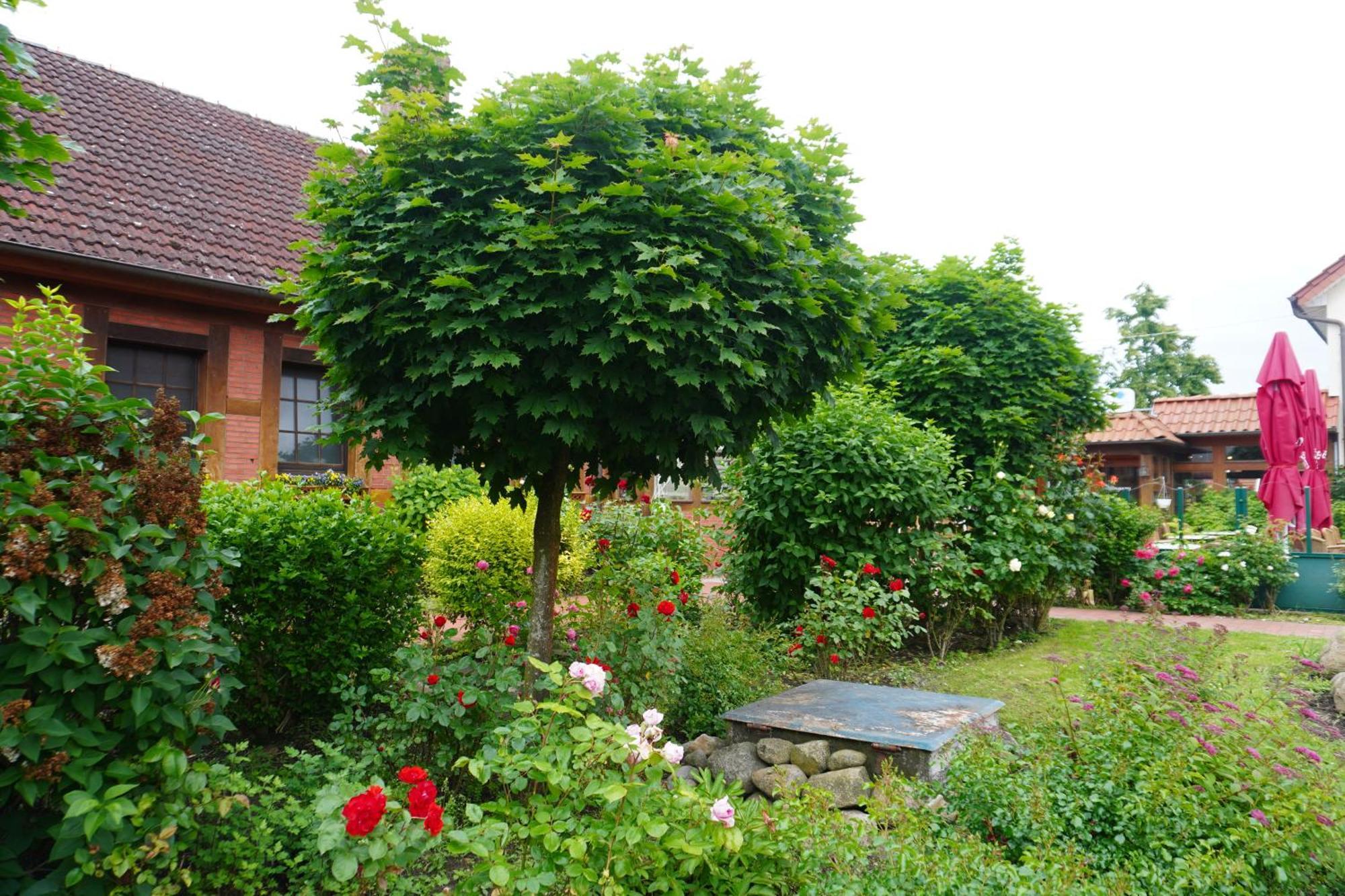 Alcor Hotel Feriendorf An Der Ostsee Wohlenberg Zewnętrze zdjęcie